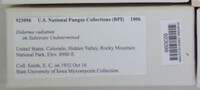 Image Associated With the Occurence